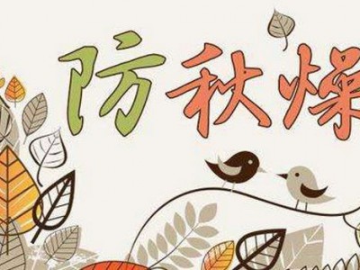 澳牧纯牛奶怎么样 大人小孩都爱喝