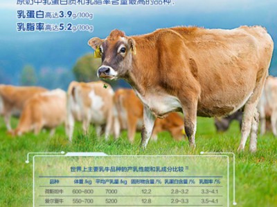 新西兰奶粉好不好 美纳多原生泽西牛好奶圈粉